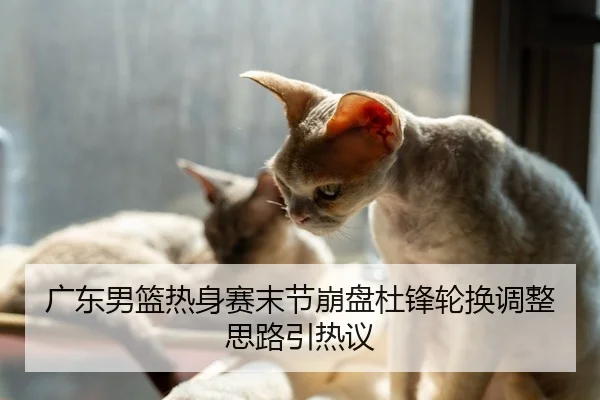 广东男篮热身赛末节崩盘杜锋轮换调整思路引热议